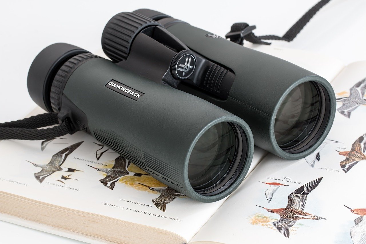 Binoculars for Bird Watching