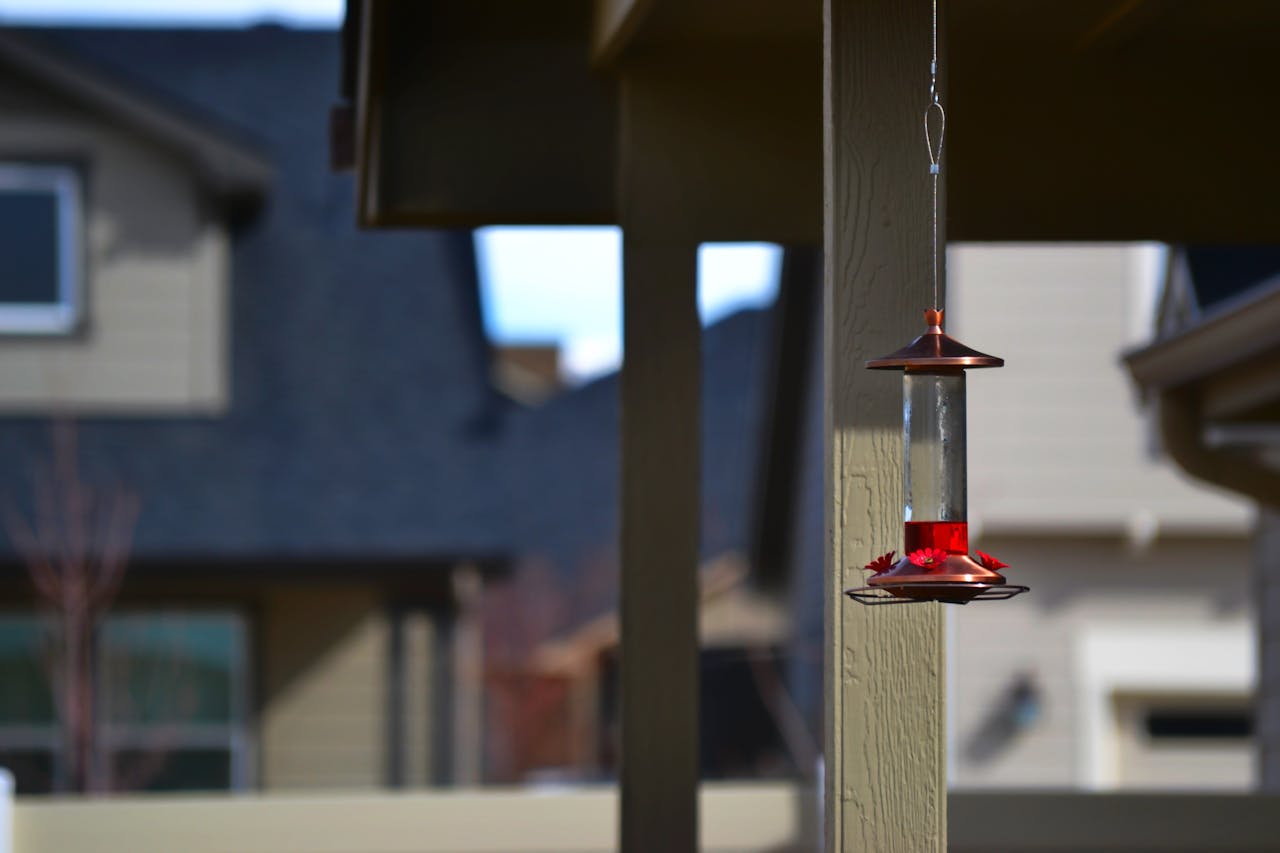 hang a bird feeder